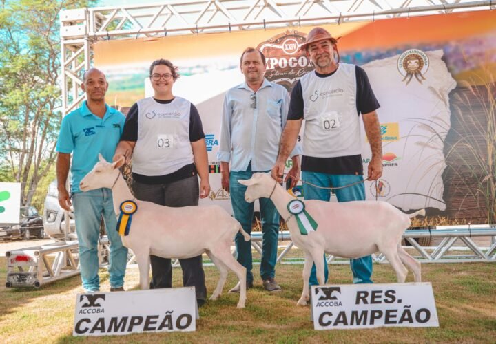 ExpoCoité 2025 encerra com recordes de público, negócios e inovação